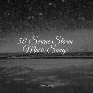 50 Serene Storm Music Songs - Chillout Lounge