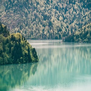 Birds Of Paradise - Uyku Müzik