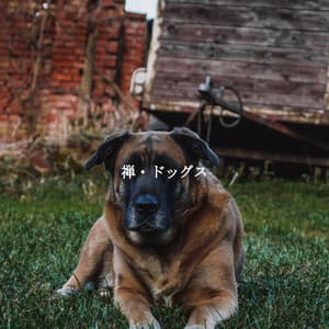 禅・ドッグス - Music for Cooking