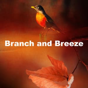 Branch and Breeze - Natures Acoustics