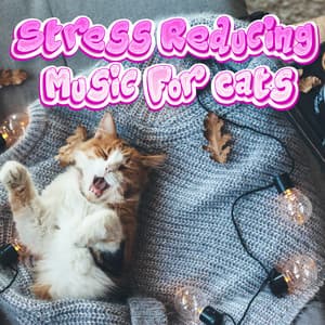 Calming Music That Reduces Stress For Cats & Kittens - Stress Reducing Music For Cats