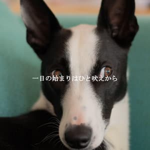 一日の始まりはひと吠えから - Lazy Sunday Jazz