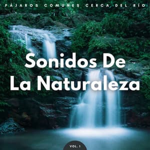 Sonidos De La Naturaleza: Pájaros Comunes Cerca Del Río Vol. 1 - Laboratorio de la Naturaleza