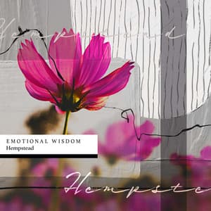 Emotional Wisdom - Hempstead