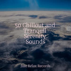 50 Chillout and Tranquil Serenity Sounds - Relaxed Minds