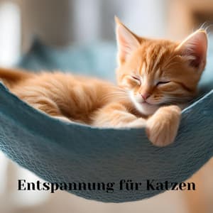 Entspannung für Katzen: Therapiemusik zum Entspannen deines Kätzchens, Schlaflied für dein Haustier - Katzen Entspannungsmusik