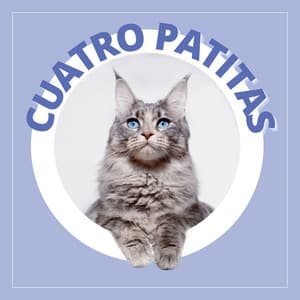 Cuatro Patitas: Música Anti Ansiedad para Calmar a Tu Animal de Compañia - Music for Pets Specialists
