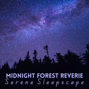 Midnight Forest Reverie: Serene Sleepscape - Our Glorious Nature