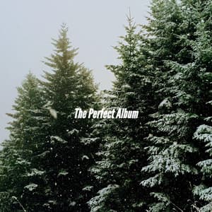 The Perfect Album - Modern Jazz Playlist