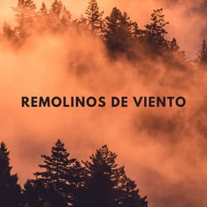 Remolinos De Viento - Efectos especiales del clima