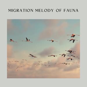 Migration Melody of Fauna - Soft Soundscapes