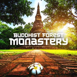 Buddhist Forest Monastery: Pray with Forest Monks, Nature Meditation Music, Forest Temple Ambience - Buddhist Meditation Temple