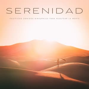 Serenidad: Pacíficos Sonidos Binaurales Para Resetear La Mente - Ruido de Meditación