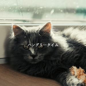 ハングリータイム - Jazz Rilassante Collezioni