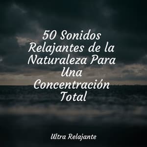50 Sonidos Relajantes de la Naturaleza Para Una Concentración Total - Meditación Interna