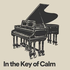 In the Key of Calm - Soft Piano Music