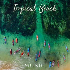 Tropical Beach Music - Jardim Zen