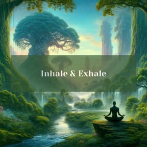 Inhale & Exhale: Meditation, Spiritual Healing and Deep Relaxation - Silent Meditation Zone