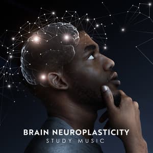 Brain Neuroplasticity Study Music - Brain Study Music Guys