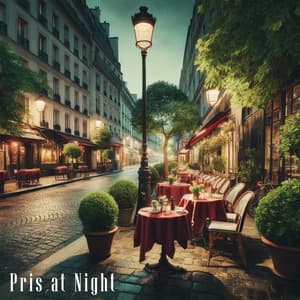 Paris at Night - Pablo Maisky