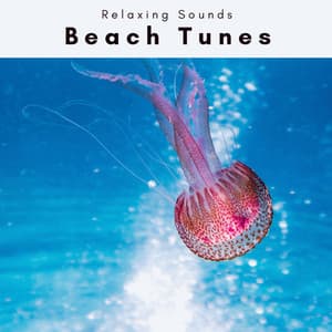 2022 Beach Tunes - Soothing Waves Of Nerja