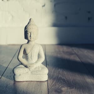 Echoes of Mental Health Relaxation - Rest and Relax Nature Sounds