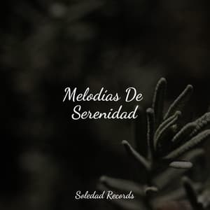 Melodías De Serenidad - Sonidos de la Naturaleza para Dormir