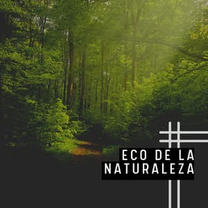 Eco de la Naturaleza - Música Yoga