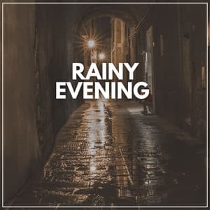 Rainy Evening - The Rain Factory