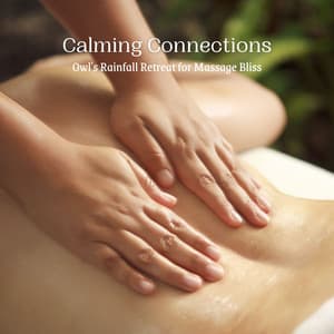 Calming Connections: Owl's Rainfall Retreat for Massage Bliss - Calm Rain for Sleep