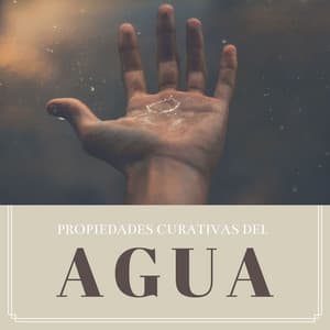 Propiedades Curativas del Agua: Música con los Mejores Sonidos de Agua, Mar, Lluvia y Naturaleza - Sons da natureza HD