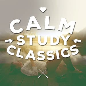 Calm Study Classics - Beethoven Consort