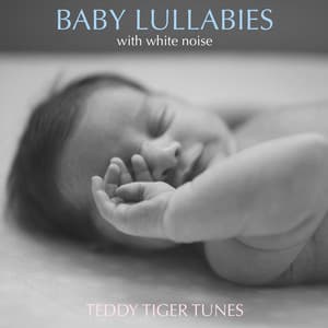 Baby Lullabies with White Noise - Teddy Tiger Tunes