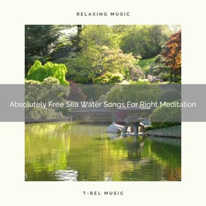 Absolutely Free Sea Water Songs For Right Meditation - Spa And Soft Relax