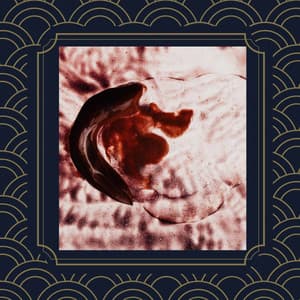 Jazz Guitar Solo - Bgm for Thoughtful Afternoons - Playlist Música para Dormir