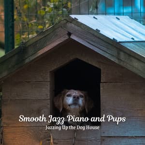 Smooth Jazz Piano and Pups: Jazzing Up the Dog House - Happy Hour Jazz