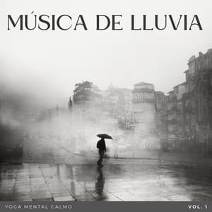 Música De Lluvia: Yoga Mental Calmo Vol. 1 - Danny sonidos de lluvia