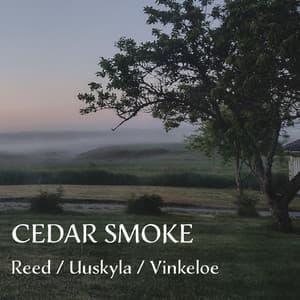 Cedar Smoke - Amy Melissa Reed