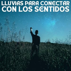 Lluvias Para Conectar Con Los Sentidos - Siempre Lloviendo