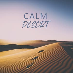 Calm Desert - Jai Lainbachs