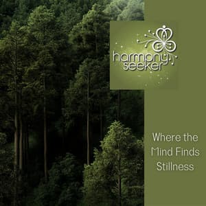 Where the Mind Finds Stillness - Harmony Seeker