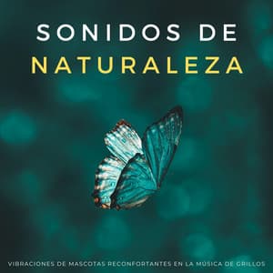Sonidos De Naturaleza: Vibraciones De Mascotas Reconfortantes En La Música De Grillos - Últimos sonidos de la naturaleza