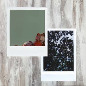 Quintet Jazz - Cafe Musique Francaise