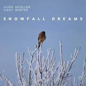 Snowfall Dreams: A Journey Into Winter’s Embrace - Aura Aeolian
