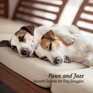 Paws and Jazz: Smooth Sounds for Dog Snuggles - Coffeehouse Quartet