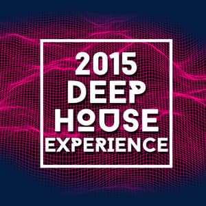 2015 Deep House Experience - Electro House DJ