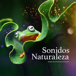 Sonidos Naturaleza - Sonidos Relajantes de Naturaleza