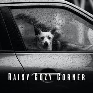 Rainy Cozy Corner: Tranquil Pink Noise for Doggy Bliss - Noise Gravity