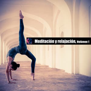 Meditación y relajación, Volúmen 1 - Lo Mejor Del Yoga