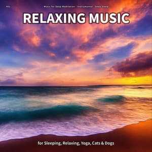 #01 Relaxing Music for Sleeping, Relaxing, Yoga, Cats & Dogs - Music for Deep Meditation